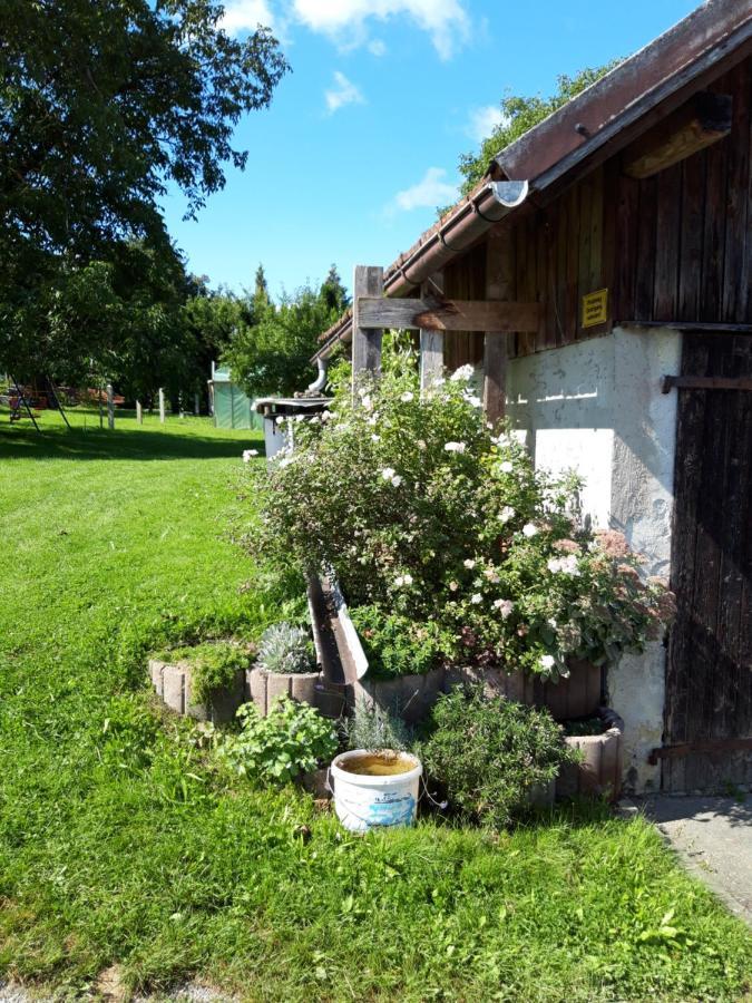 Ferienwohnung Im Seidlerhof Mit Balkon Und Garten Röhrnbach エクステリア 写真