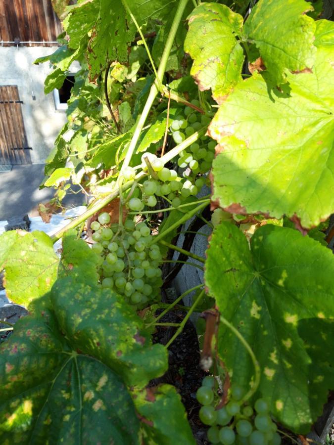 Ferienwohnung Im Seidlerhof Mit Balkon Und Garten Röhrnbach エクステリア 写真