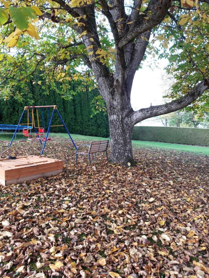 Ferienwohnung Im Seidlerhof Mit Balkon Und Garten Röhrnbach エクステリア 写真
