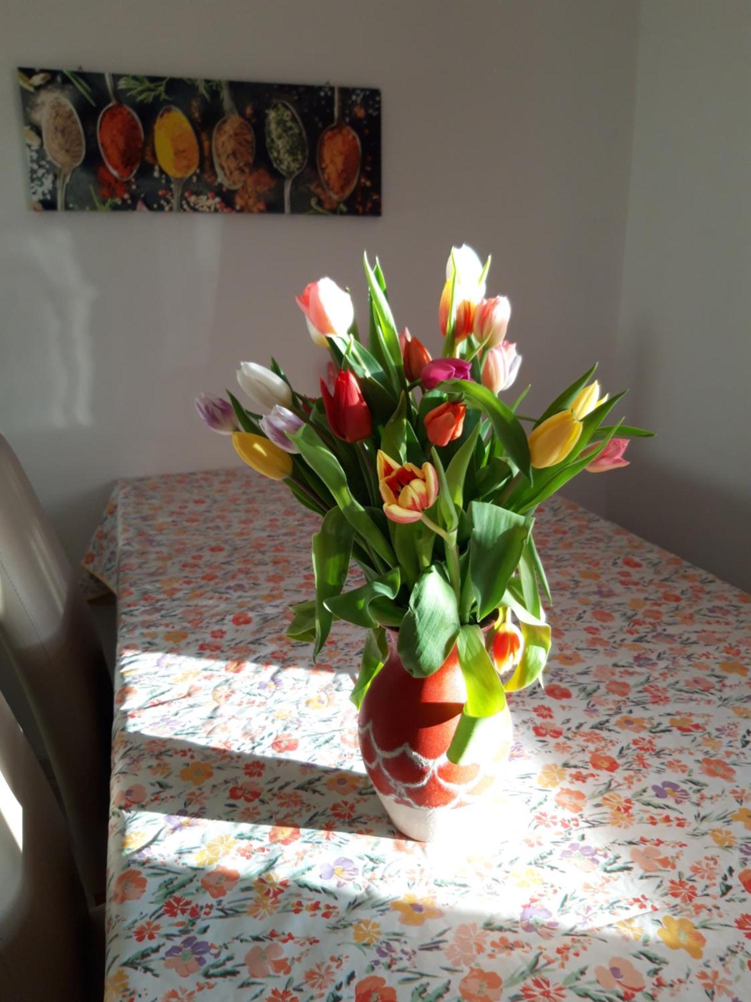 Ferienwohnung Im Seidlerhof Mit Balkon Und Garten Röhrnbach エクステリア 写真
